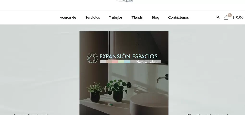 diseño de pagina web
